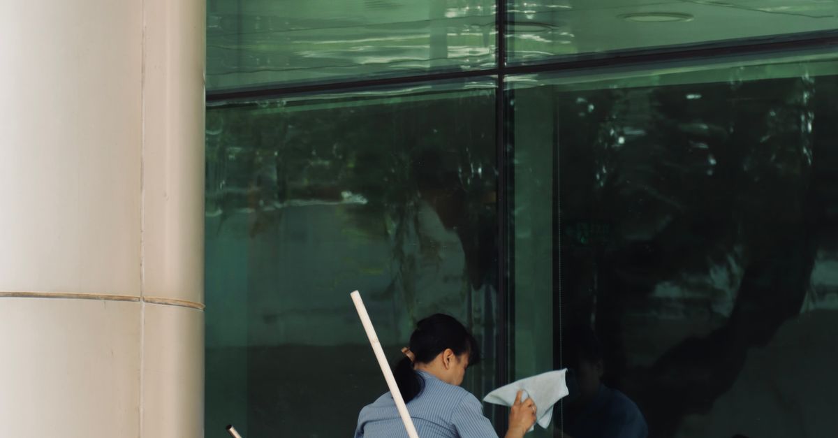 Best Practices for Harness Usage in Window Cleaning Operations